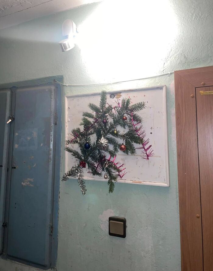 Unconventional Lithuanian Christmas decoration with sparse pine branches and ornaments on a worn apartment building wall.