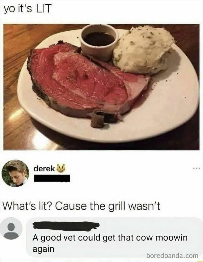 A humorous movie meme featuring undercooked meat with funny comments about grilling and a vet.