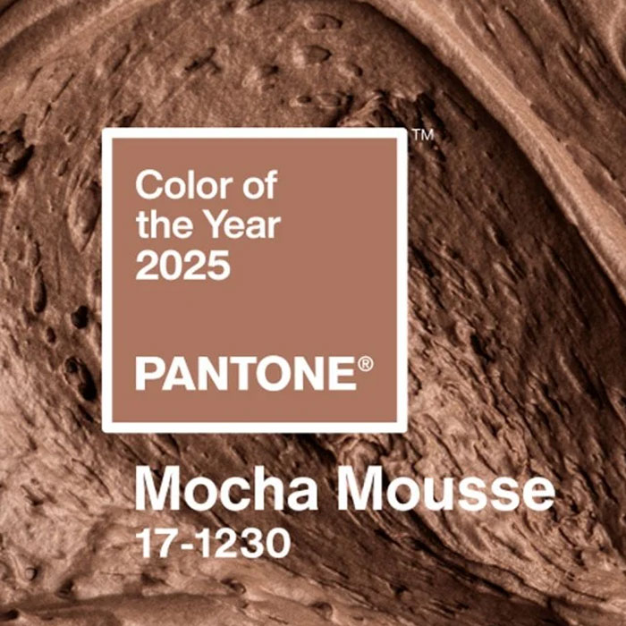 Pantone&rsquo;s 2025 Color of the Year Mocha Mousse sparks online debate over race and representation.