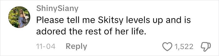 Comment on social media expressing hope that Skitsy levels up and is adored for life, related to worst Victorian boyfriend topic.