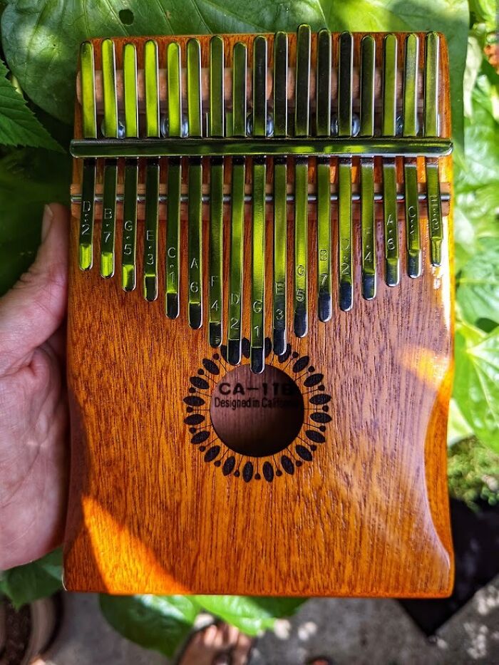 Hand holding a wooden kalimba with metal tines, showcasing one of the best sellers that prove delusional trends in 2025.