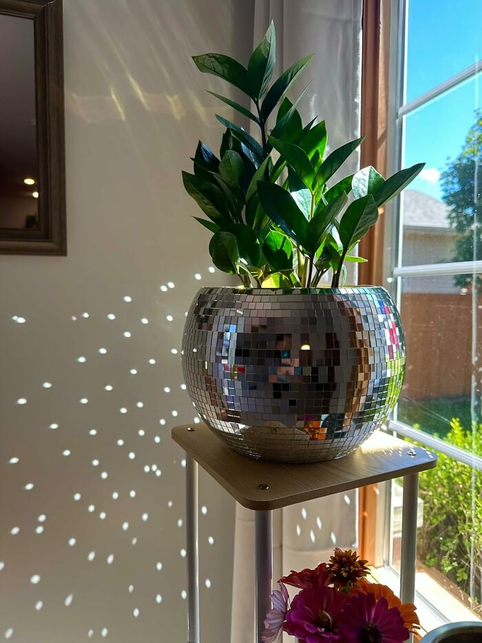 Houseplant in a reflective disco ball pot casting light spots, a trendy gift teens are begging for this year.