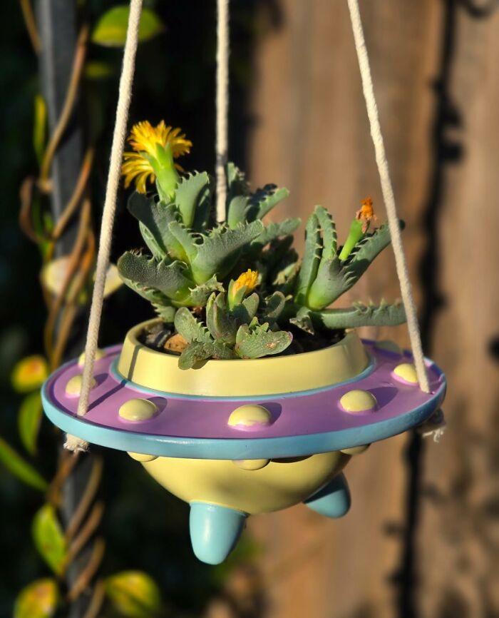 Hanging quirky gift planter shaped like a colorful UFO with green succulent and yellow flowers inside.