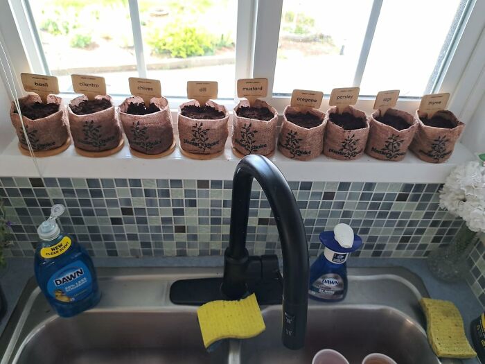 Small herb garden with labeled pots on a kitchen windowsill above a sink, ideal host gifts for food lovers.