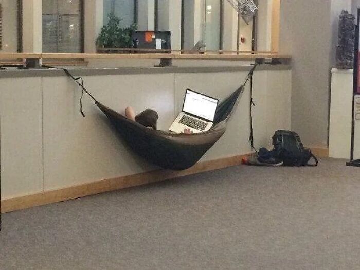 Person relaxing in a hammock attached to a railing while using a laptop, capturing a random pic that makes you laugh.