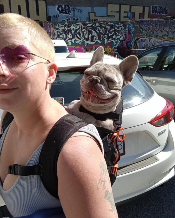 Person wearing heart-shaped sunglasses carrying an adorable dog in a backpack enjoying city adventures near graffiti walls.