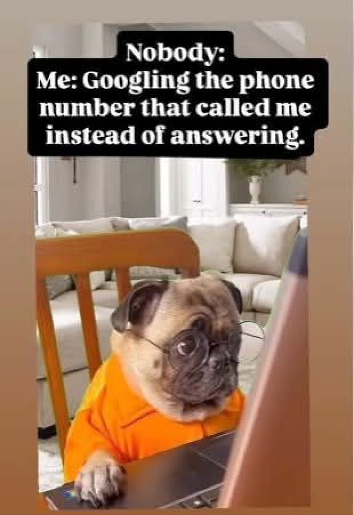 Pug wearing glasses and an orange shirt, humorously staring at a laptop, a funny meme for cute animal content.
