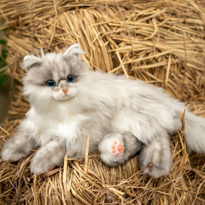 Plush toy cat with blue eyes lying on straw, perfect gift to unleash 5-year-old joy and delight children.