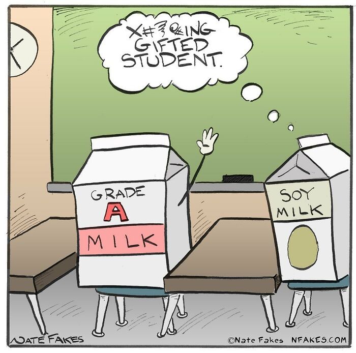Cartoon of a grade A milk carton angrily calling a soy milk carton gifted student in a classroom setting by Nate Fakes.