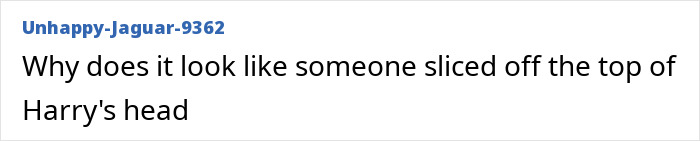 Comment discussing a detail in Prince Harry and Meghan Markle's holiday snap, questioning an edited appearance.