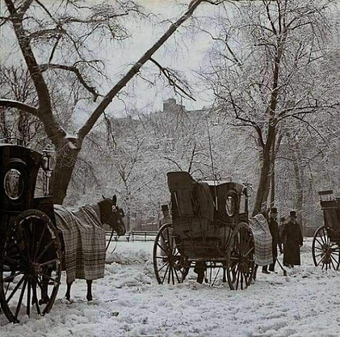 Horse-drawn carriages and people in snow-covered park, capturing culture and everyday life in a powerful old photo.