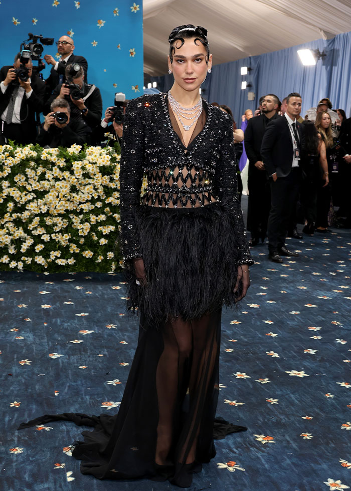 Celebrity wearing a black sheer dress with feathered details posing on the red carpet at a fashion event 2025.