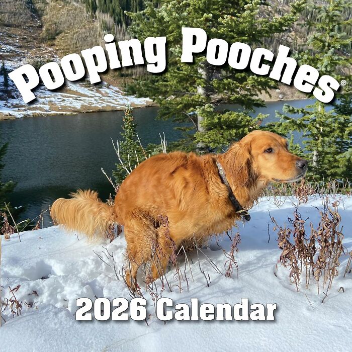 A Pooping Pooches Calendar Is Disgusting And Hilarious In Equal Measure