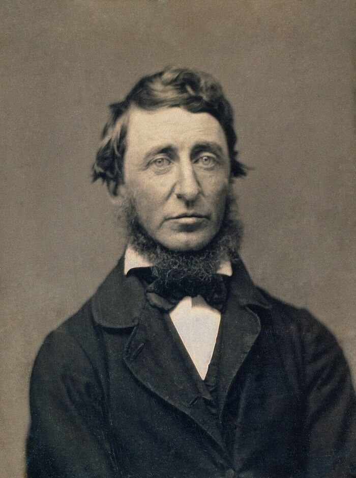 Portrait of a 19th-century man with a beard, representing people sharing historical facts unknown until recently.