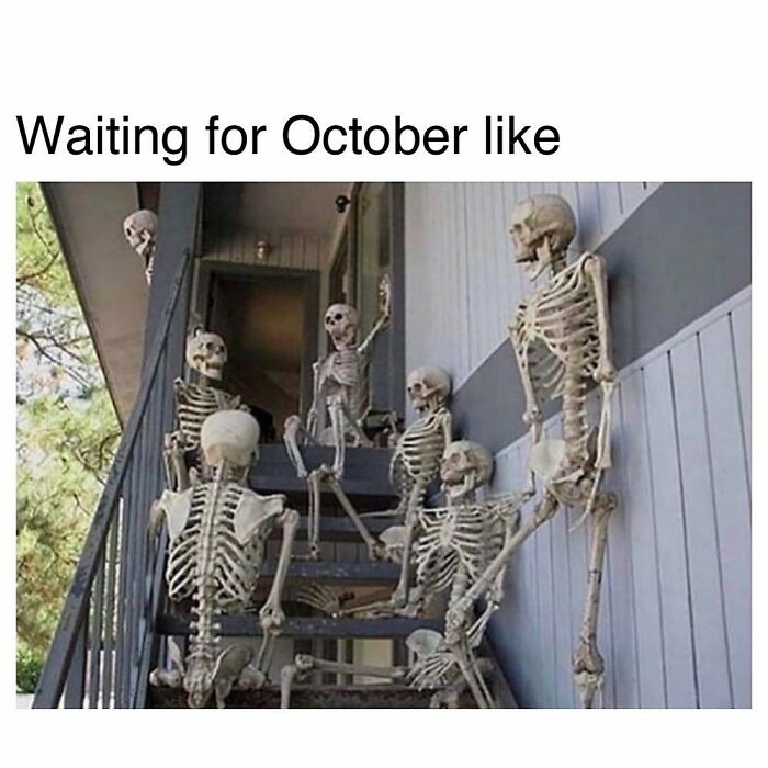 Group of skeletons sitting on outdoor stairs with text waiting for October like, goth memes humor.