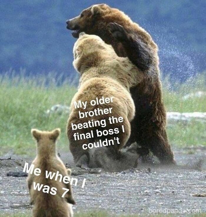 Two bears play-fighting with text about older brother beating the final boss, illustrating sibling memes and relationships.
