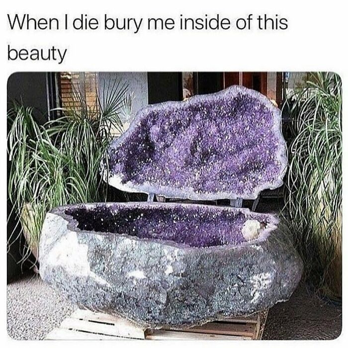 Amethyst geode coffin with sparkling purple crystals surrounded by plants, perfect for goth memes about unique beauty.