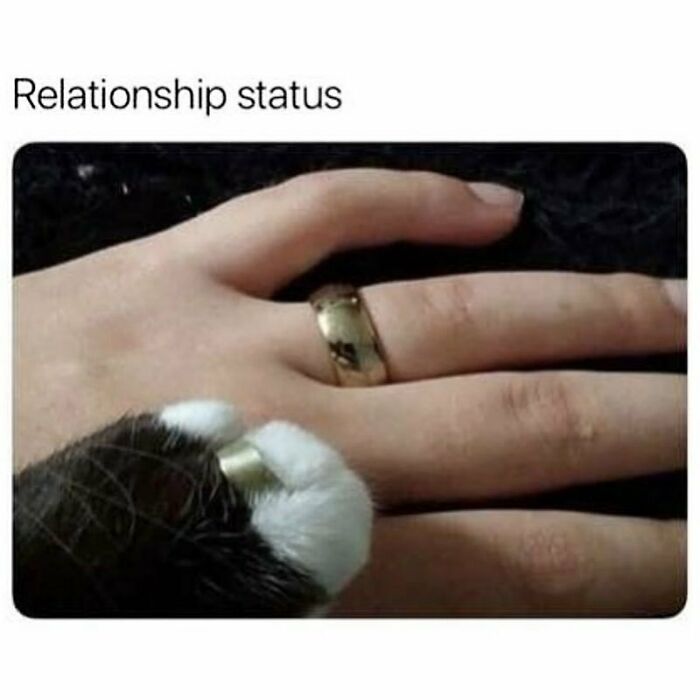 Close-up of human hand and cat paw both wearing similar gold rings, illustrating a humorous goth meme about relationship status.