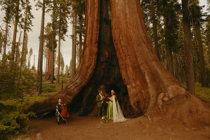 Image By Breeanna Lasher Taken In Sequoia National Park, CA, USA