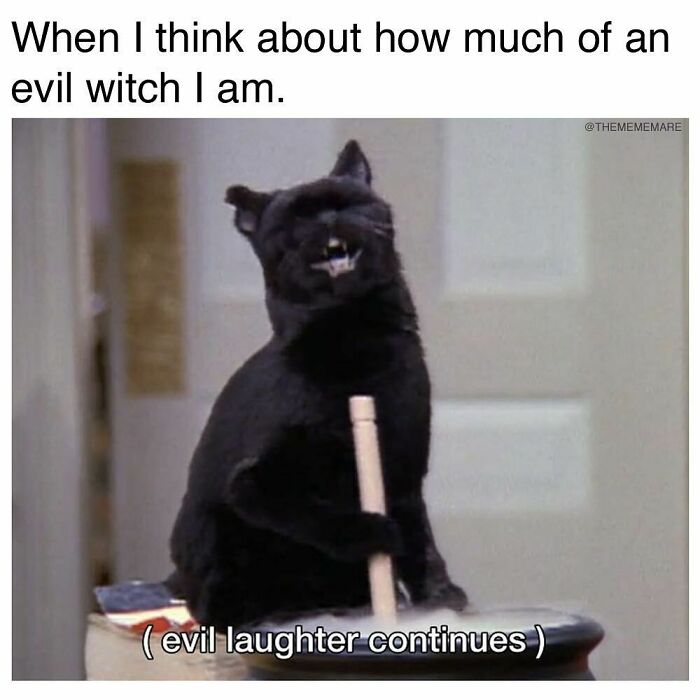 Black cat holding a broom with a mischievous expression captioned with evil laughter, a goth meme for those who don't fit in.