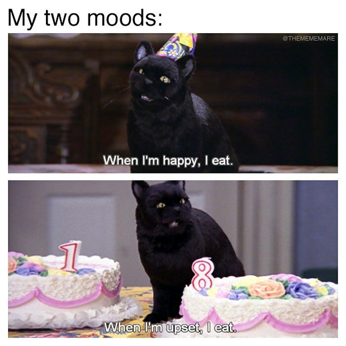 Black cat wearing a party hat with cakes, depicting moods of eating when happy or upset in goth memes context.