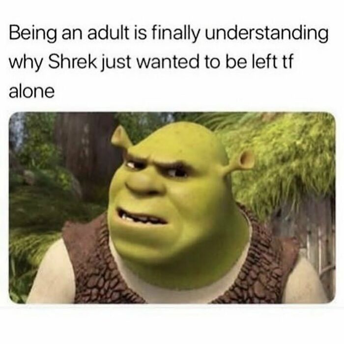 Meme showing Shrek with a confused expression, relating to adult life in a goth memes collection.