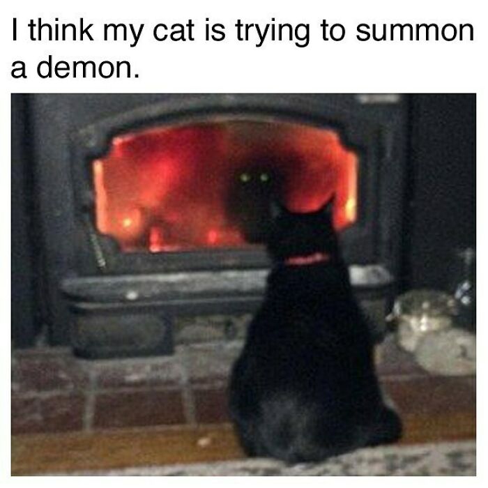 Black cat staring into a fiery furnace with glowing eyes, humorous goth meme about summoning demons.