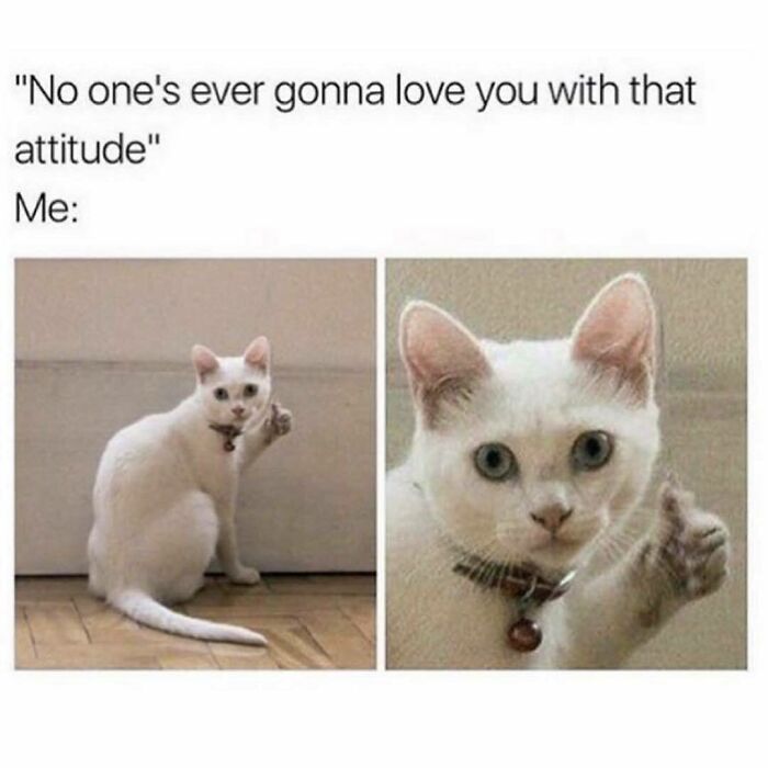White cat giving thumbs up with text about attitude, a popular goth meme for anyone who doesn't fit in.