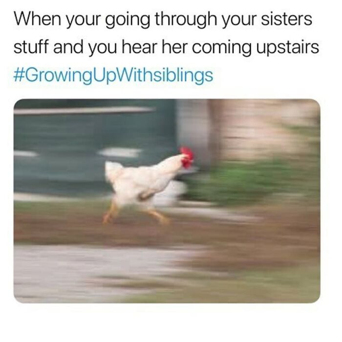 Blurry chicken running fast, illustrating the urgency of sibling moments in growing up with siblings memes.