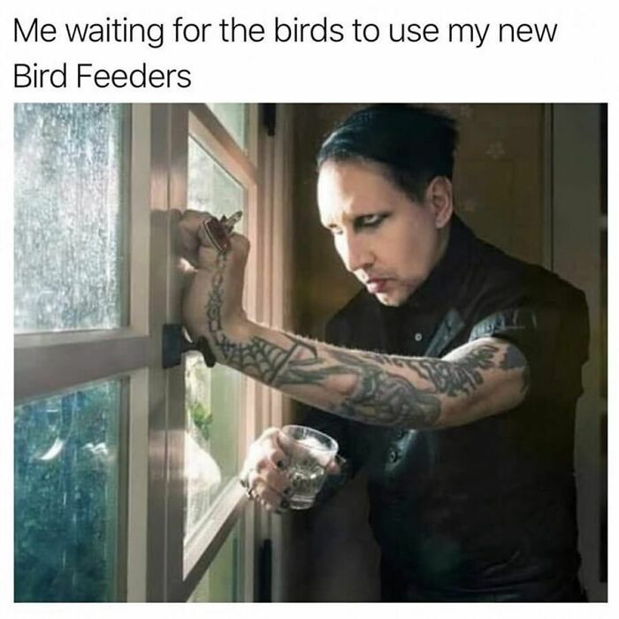 Person with goth style and tattoos looking out window, waiting patiently with a glass in hand, representing goth memes.