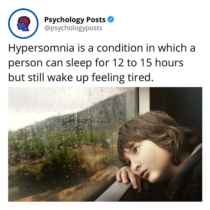 Young person looking tired and resting head against a rainy window illustrating psychology facts about hypersomnia.
