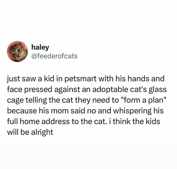 Funny meme about cats being weird little guys showing a kid whispering a plan to an adoptable cat in a glass cage.