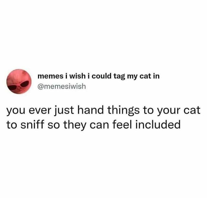 Text meme about cats being weird little guys, describing handing objects to cats to let them sniff and feel included.