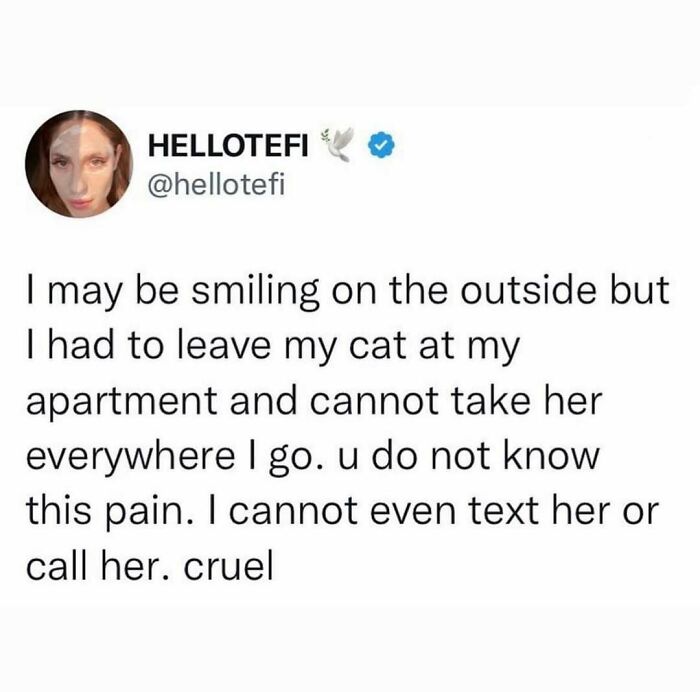 Tweet about the pain of leaving a cat behind and not being able to take her everywhere, showing love for weird little cats.