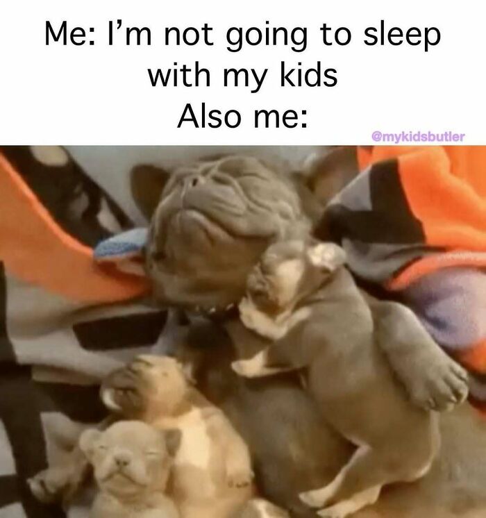 Funny and savage parenting meme showing a dog and puppies cuddling, illustrating parents hiding from kids humor.