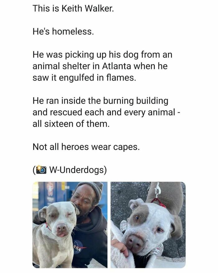 Homeless man rescues sixteen animals from burning shelter, showcasing heartwarming and funny wholesome posts featuring animals.