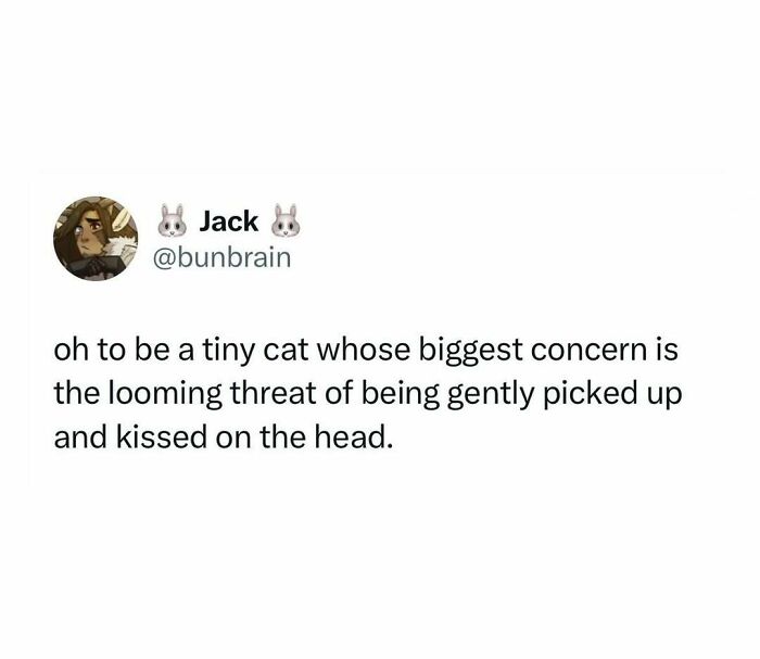 Funny meme text about cats being weird little guys dealing with the looming threat of being kissed on the head.