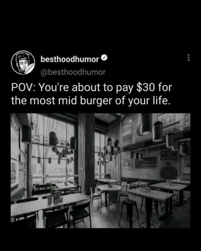 A humorous meme about paying $30 for a mediocre burger, illustrating memes that have no reason to be this funny.
