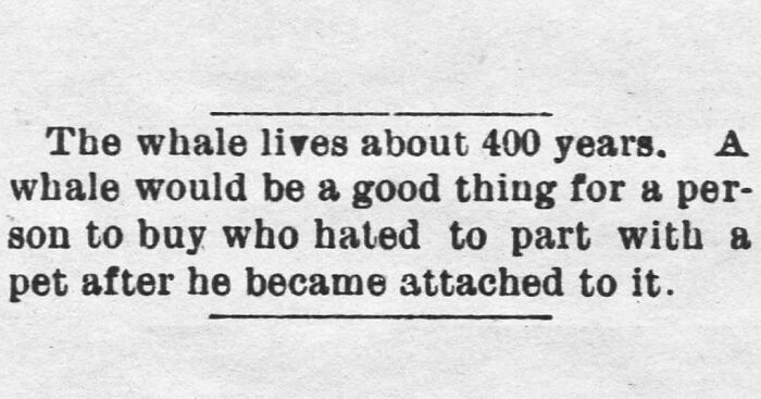 Vintage newspaper clipping humor about a whale living 400 years and being a unique pet idea.