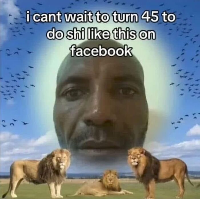 Close-up of a man's face with a glowing halo above lions in a field, a funny unhinged meme style from Grapejuiceboys.