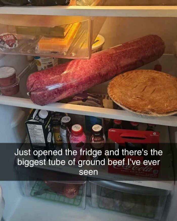 Inside a fridge with an extremely large tube of ground beef next to a pie, showcasing wild dude fridge contents.