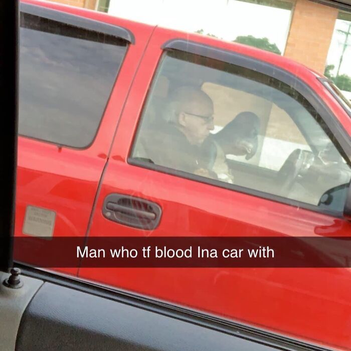 Elderly man driving a red truck with a large dog sitting in the passenger seat, a funny unhinged meme style moment.