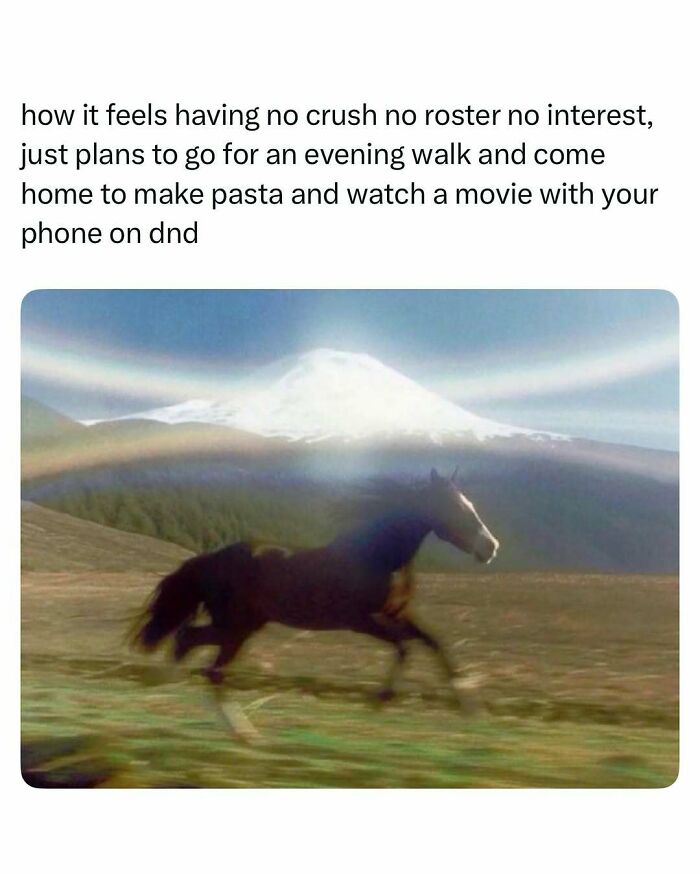 A horse running freely in a field with a mountain and rainbows, illustrating funny and wholesome animal posts.