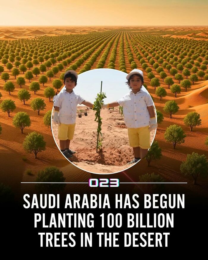Two children planting a tree in the desert as part of Saudi Arabia's project to plant 100 billion trees positivity recommended.