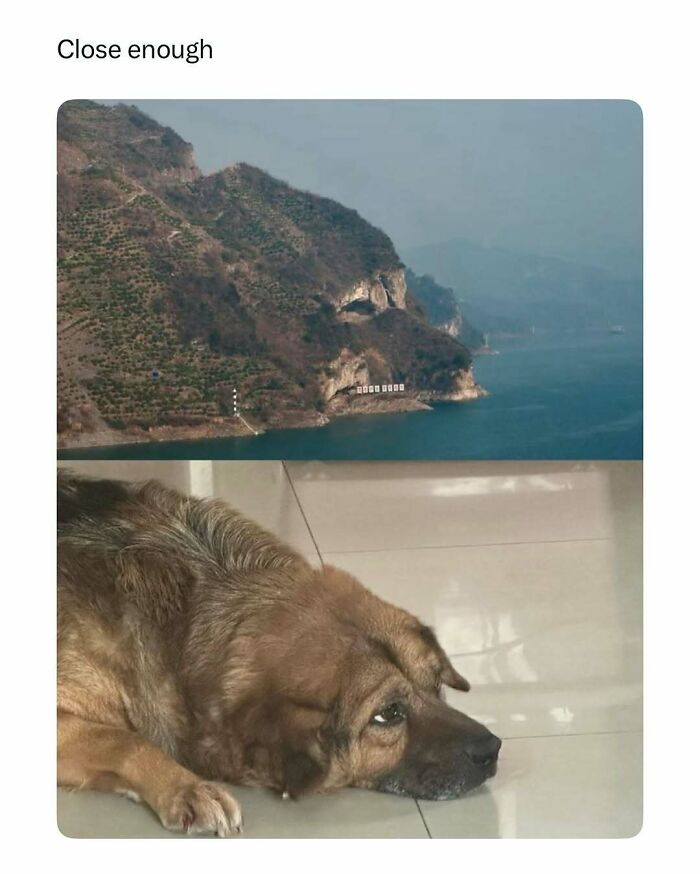 Mountain landscape resembling a dog’s face paired with a dog lying on the floor in funny and wholesome animal posts.