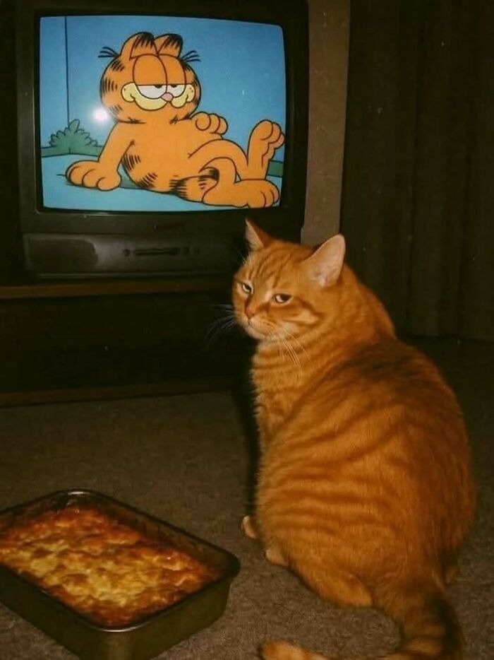 Orange tabby cat watching cartoon cat on TV with a baked dish nearby, showcasing funny and adorable cats deserving best snacks.