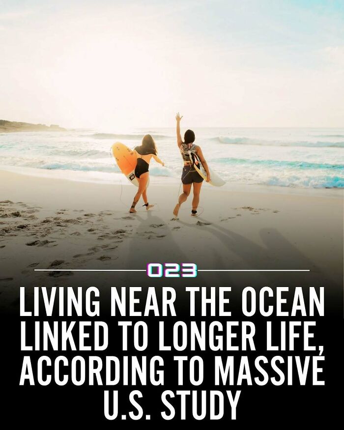 Two people with surfboards walking toward the ocean at sunrise, illustrating positivity and wholesome outdoor facts.