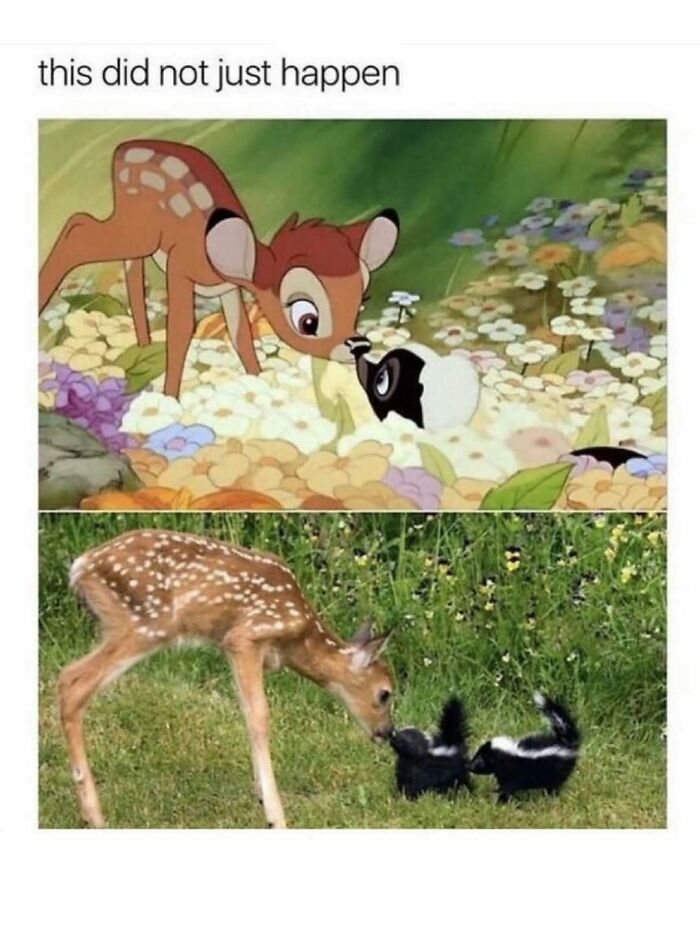 Animated and real deer and skunk touching noses, showing delightful animal antics captured in nature.