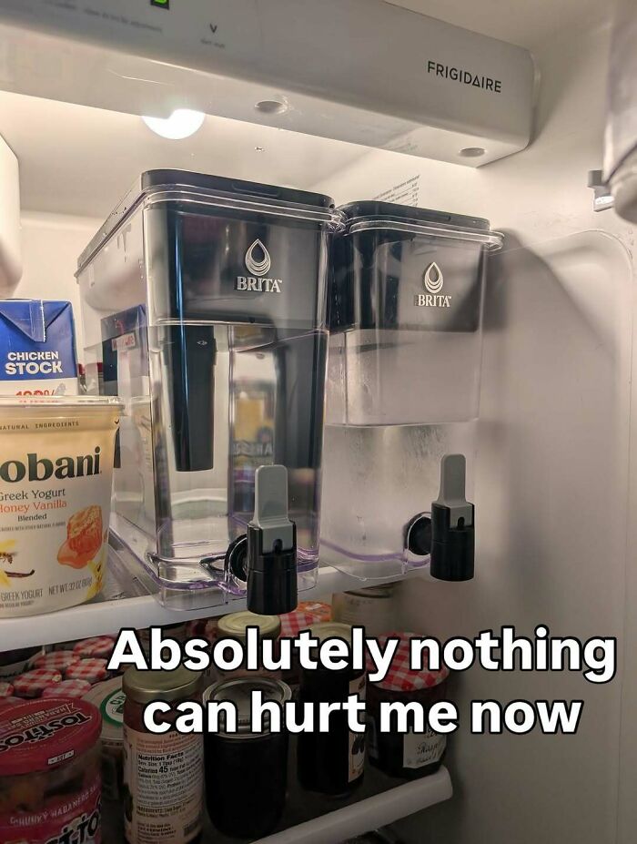 Inside a fridge with two Brita water filters and various food items, showcasing a practical dude fridge setup.