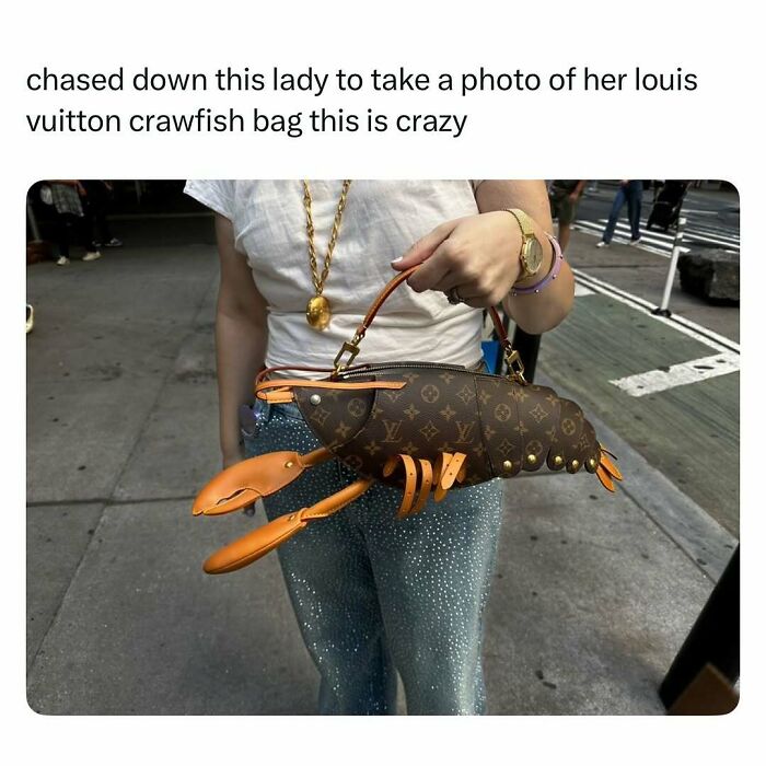 Woman holding a Louis Vuitton crawfish bag, a funny and wholesome animal-themed accessory cleansing your feed.